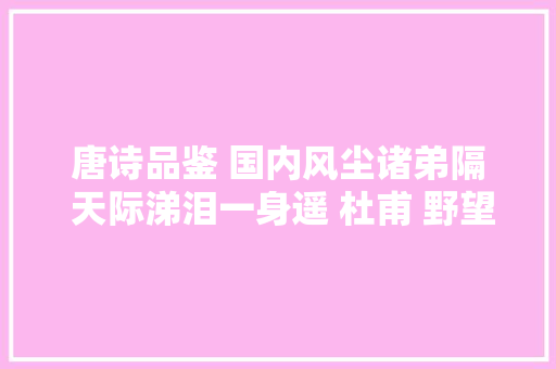 唐诗品鉴 国内风尘诸弟隔 天际涕泪一身遥 杜甫 野望