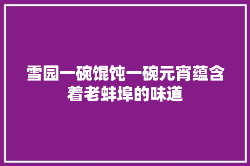 雪园一碗馄饨一碗元宵蕴含着老蚌埠的味道