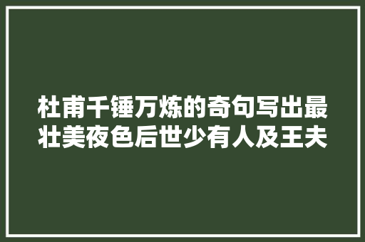 杜甫千锤万炼的奇句写出最壮美夜色后世少有人及王夫之盛赞