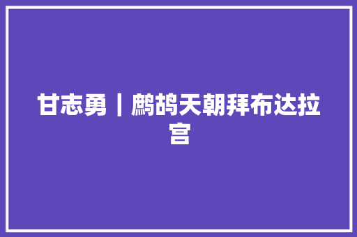甘志勇｜鹧鸪天朝拜布达拉宫