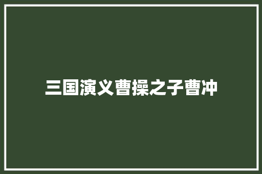 三国演义曹操之子曹冲