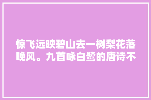 惊飞远映碧山去一树梨花落晚风。九首咏白鹭的唐诗不雅赏