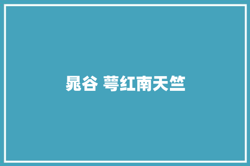 晁谷 萼红南天竺