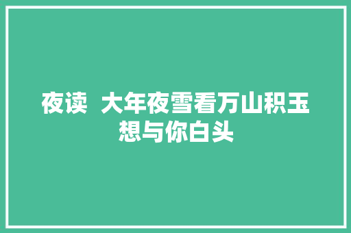 夜读  大年夜雪看万山积玉想与你白头