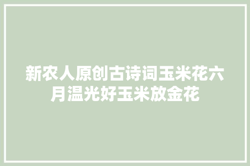 新农人原创古诗词玉米花六月温光好玉米放金花