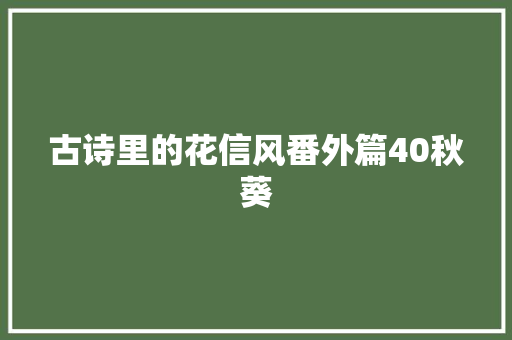 古诗里的花信风番外篇40秋葵