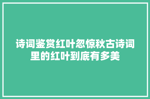 诗词鉴赏红叶忽惊秋古诗词里的红叶到底有多美