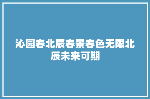 沁园春北辰春景春色无限北辰未来可期