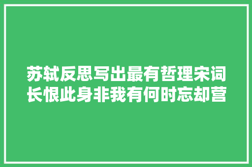 苏轼反思写出最有哲理宋词长恨此身非我有何时忘却营营