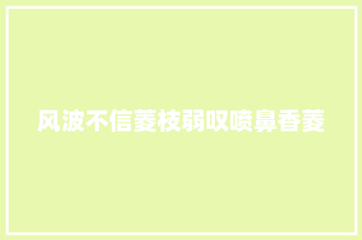风波不信菱枝弱叹喷鼻香菱