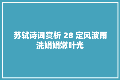 苏轼诗词赏析 28 定风波雨洗娟娟嫩叶光