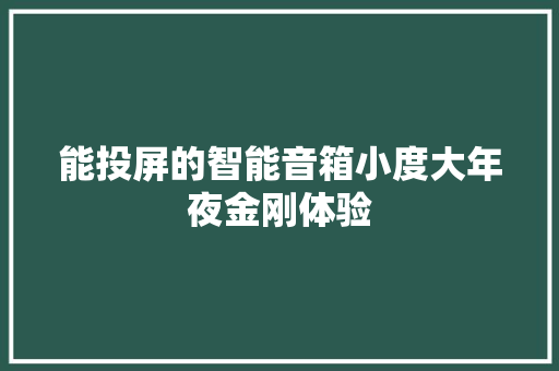 能投屏的智能音箱小度大年夜金刚体验