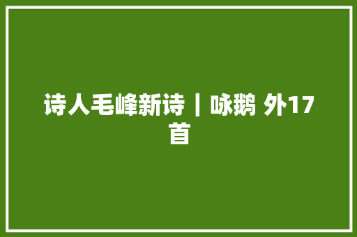 诗人毛峰新诗｜咏鹅 外17首