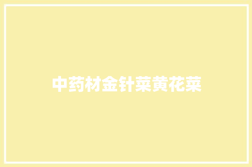 中药材金针菜黄花菜