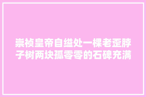 崇祯皇帝自缢处一棵老歪脖子树两块孤零零的石碑充满了悲壮