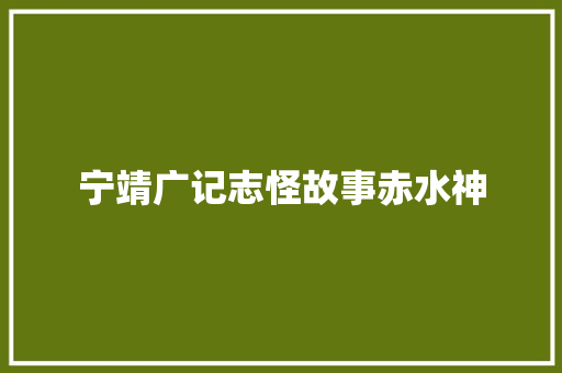 宁靖广记志怪故事赤水神