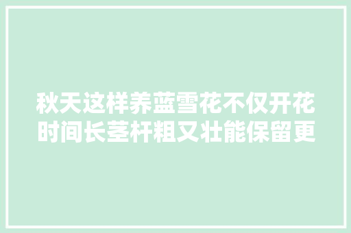 秋天这样养蓝雪花不仅开花时间长茎杆粗又壮能保留更多养分