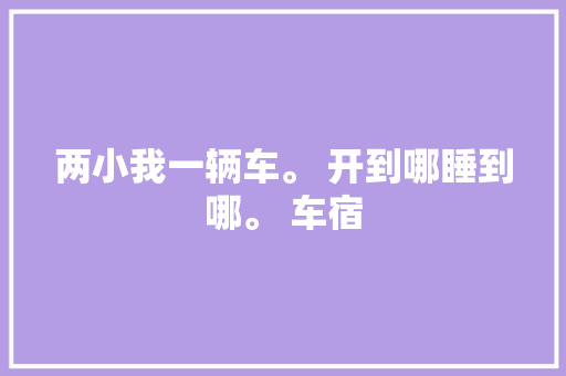 两小我一辆车。 开到哪睡到哪。 车宿