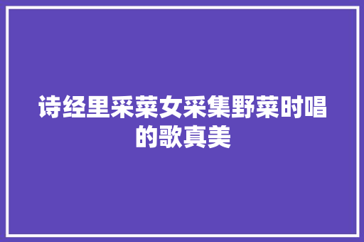 诗经里采菜女采集野菜时唱的歌真美