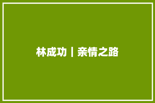 林成功｜亲情之路
