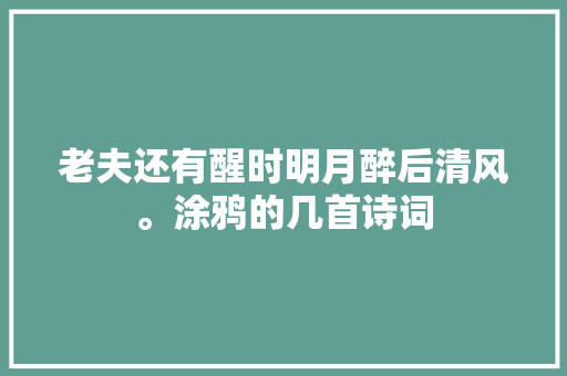 老夫还有醒时明月醉后清风。涂鸦的几首诗词