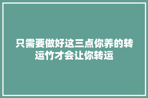 只需要做好这三点你养的转运竹才会让你转运