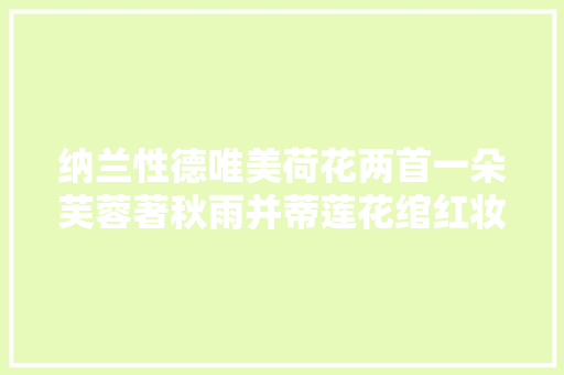 纳兰性德唯美荷花两首一朵芙蓉著秋雨并蒂莲花绾红妆