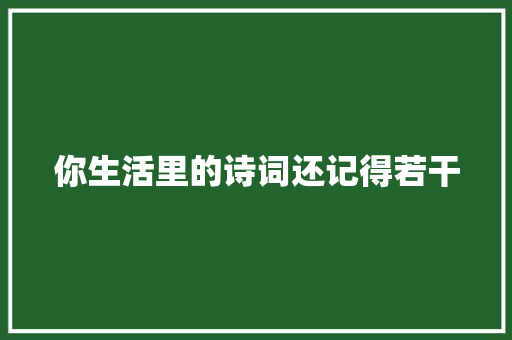 你生活里的诗词还记得若干