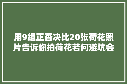 用9组正否决比20张荷花照片告诉你拍荷花若何避坑会更好看
