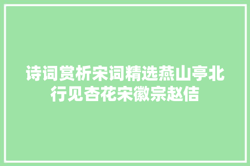 诗词赏析宋词精选燕山亭北行见杏花宋徽宗赵佶