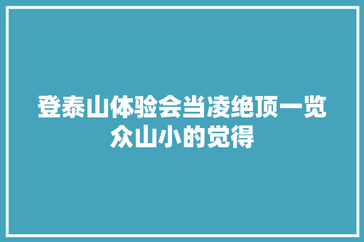登泰山体验会当凌绝顶一览众山小的觉得