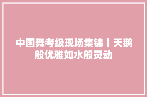 中国舞考级现场集锦丨天鹅般优雅如水般灵动