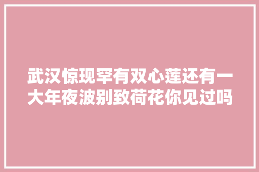 武汉惊现罕有双心莲还有一大年夜波别致荷花你见过吗