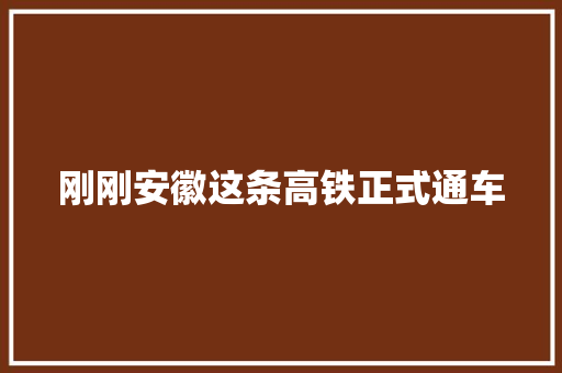 刚刚安徽这条高铁正式通车
