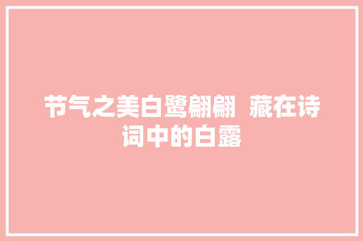 节气之美白鹭翩翩  藏在诗词中的白露