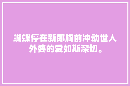 蝴蝶停在新郎胸前冲动世人外婆的爱如斯深切。