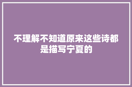 不理解不知道原来这些诗都是描写宁夏的