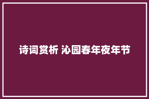 诗词赏析 沁园春年夜年节