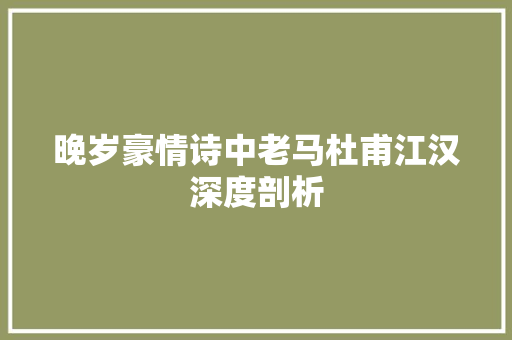 晚岁豪情诗中老马杜甫江汉深度剖析
