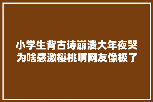 小学生背古诗崩溃大年夜哭为啥感激樱桃啊网友像极了我小时刻的背古诗的样子