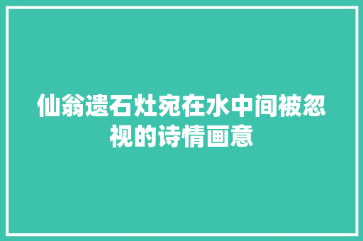 仙翁遗石灶宛在水中间被忽视的诗情画意