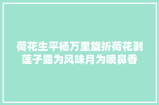 荷花生平杨万里旋折荷花剥莲子露为风味月为喷鼻香