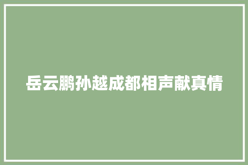 岳云鹏孙越成都相声献真情