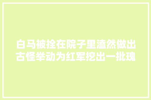 白马被拴在院子里溘然做出古怪举动为红军挖出一批瑰宝