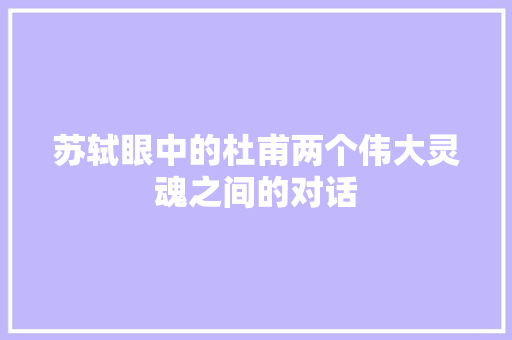 苏轼眼中的杜甫两个伟大灵魂之间的对话