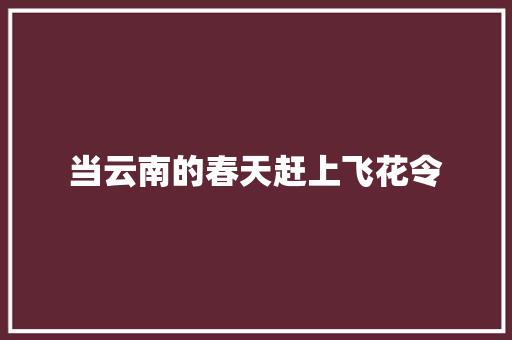 当云南的春天赶上飞花令