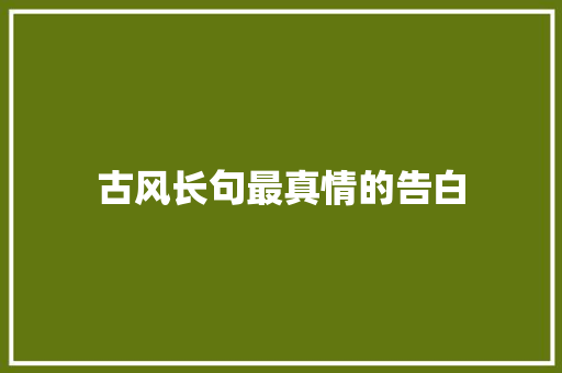 古风长句最真情的告白