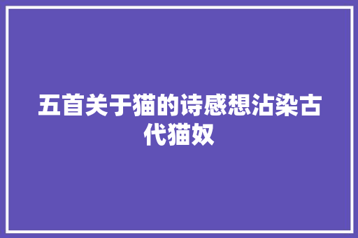 五首关于猫的诗感想沾染古代猫奴