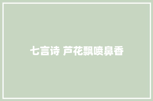 七言诗 芦花飘喷鼻香