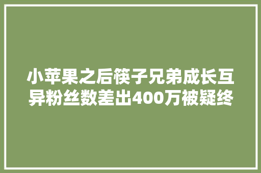 小苹果之后筷子兄弟成长互异粉丝数差出400万被疑终结